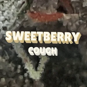 Sweetberry Cough Cannabis Strain