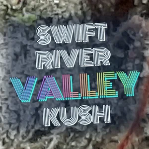 Swift River Valley Kush Cannabis Strain