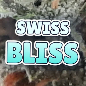 Swiss Bliss Cannabis Strain