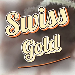 Swiss Gold Cannabis Strain