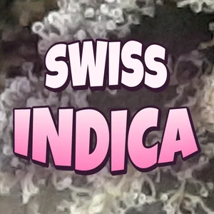 Swiss Indica Cannabis Strain