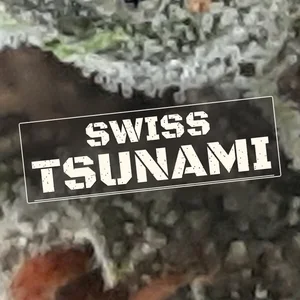 Swiss Tsunami Cannabis Strain