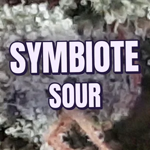 Symbiote Sour Cannabis Strain