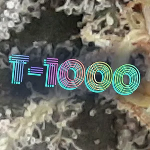 T-1000 Cannabis Strain