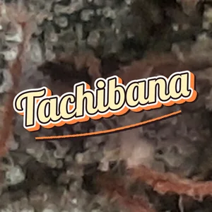 Tachibana Cannabis Strain