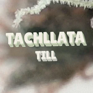 Tachllata Till Cannabis Strain