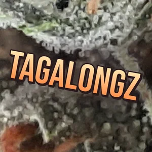 Tagalongz Cannabis Strain
