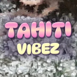 Tahiti Vibez Cannabis Strain