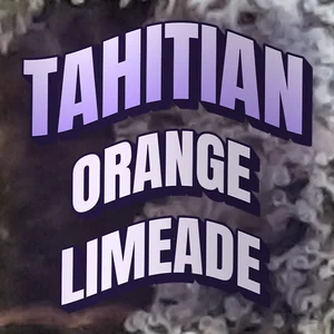 Tahitian Orange Limeade Cannabis Strain