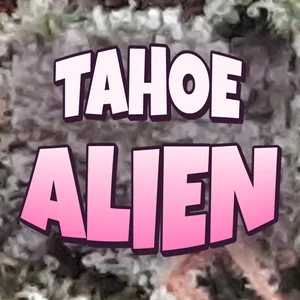 Tahoe Alien Cannabis Strain