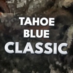 Tahoe Blue Classic Cannabis Strain