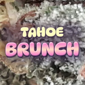 Tahoe Brunch Cannabis Strain