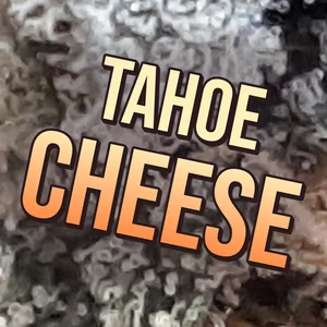 Tahoe Cheese Cannabis Strain