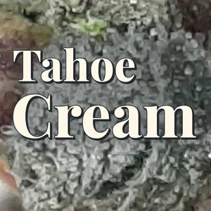 Tahoe Cream Cannabis Strain