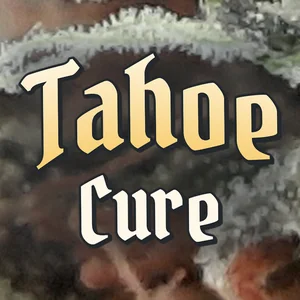 Tahoe Cure Cannabis Strain