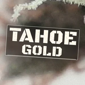 Tahoe Gold Cannabis Strain