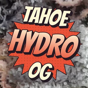Tahoe Hydro OG Cannabis Strain