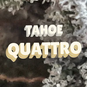Tahoe Quattro Cannabis Strain
