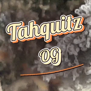 Tahquitz OG Cannabis Strain