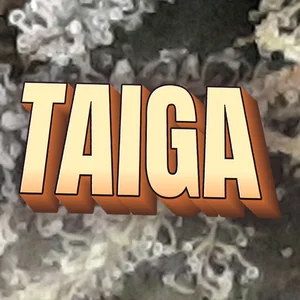 Taiga Cannabis Strain