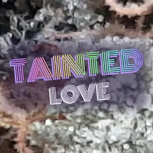 Tainted Love Cannabis Strain