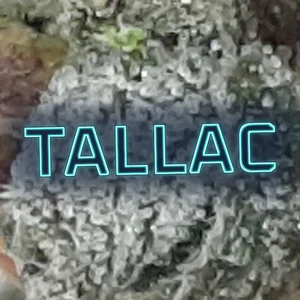 Tallac Cannabis Strain