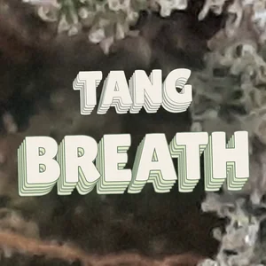 Tang Breath Cannabis Strain