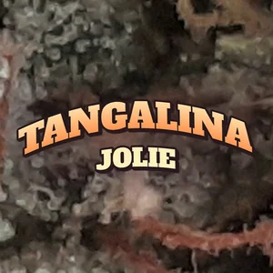 Tangalina Jolie Cannabis Strain