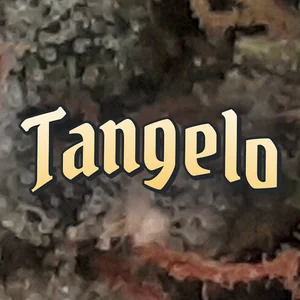 Tangelo Cannabis Strain