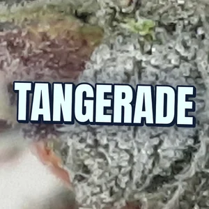 Tangerade Cannabis Strain