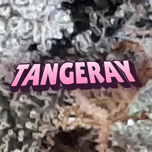 Tangeray Cannabis Strain