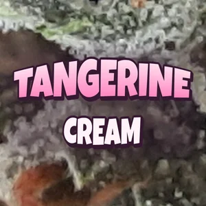 Tangerine Cream Cannabis Strain