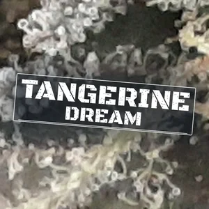 Tangerine Dream Cannabis Strain