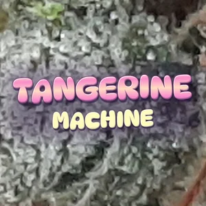 Tangerine Machine Cannabis Strain