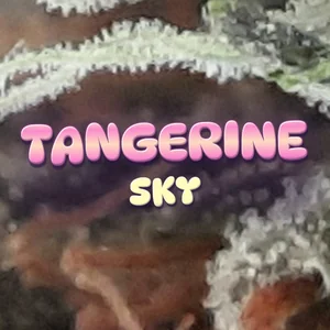 Tangerine Sky Cannabis Strain