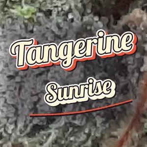 Tangerine Sunrise Cannabis Strain