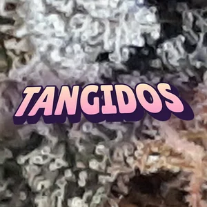 Tangidos Cannabis Strain