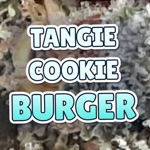 Tangie Cookie Burger Cannabis Strain