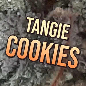 Tangie Cookies Cannabis Strain