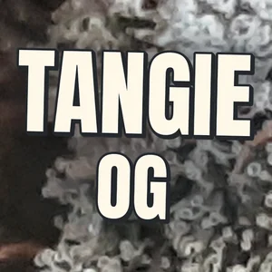 Tangie OG Cannabis Strain