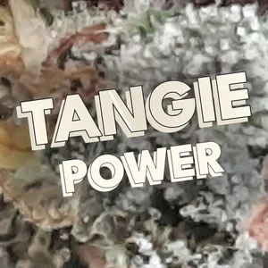 Tangie Power Cannabis Strain