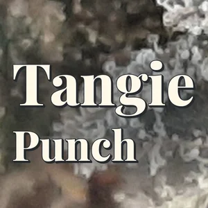 Tangie Punch Cannabis Strain