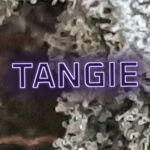 Tangie Cannabis Strain