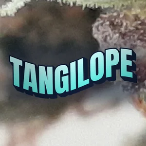 Tangilope Cannabis Strain