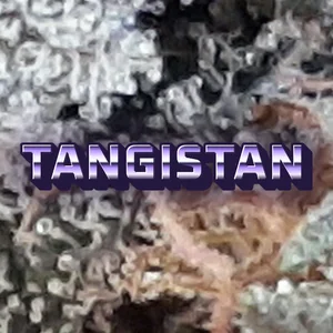 Tangistan Cannabis Strain