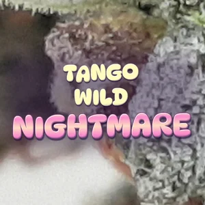 Tango Wild Nightmare Cannabis Strain
