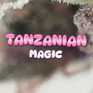 Tanzanian Magic Cannabis Strain