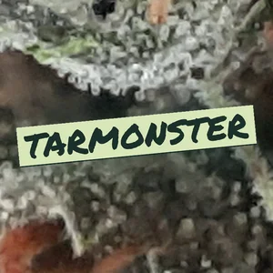 Tarmonster Cannabis Strain