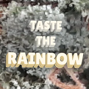 Taste the Rainbow Cannabis Strain