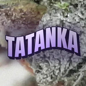 Tatanka Cannabis Strain
